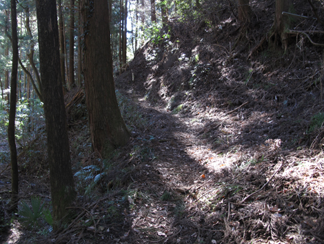 20170113hike (11)